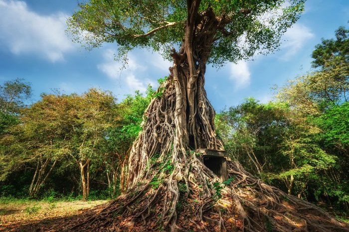 Die Tempel in Kambodscha sind Fixpunkt einer Indochina Reise