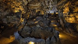 Las Monedas © SRECD