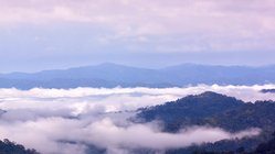 Nebelmeer über dem Kaeng Krachan Nationalpark Nebelmeer über dem Kaeng Krachan Nationalpark - UNESCO Welterbe seit 2021