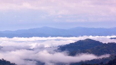Nebelmeer über dem Kaeng Krachan Nationalpark Nebelmeer über dem Kaeng Krachan Nationalpark - UNESCO Welterbe seit 2021