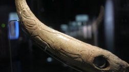 Lochstab mit Hirschgravierung aus El Castillo im Museum Santander