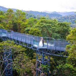 Baumkronenweg im botanischen Garten Chiang Mai Nordthailand