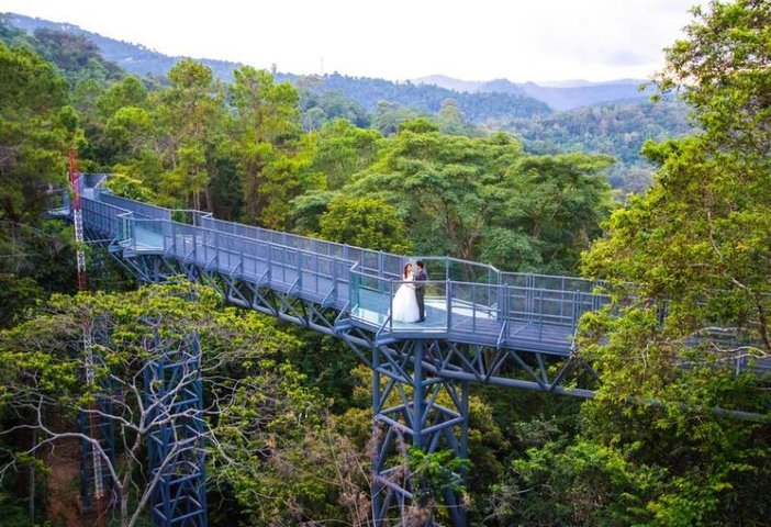 Baumkronenweg im botanischen Garten Chiang Mai Nordthailand