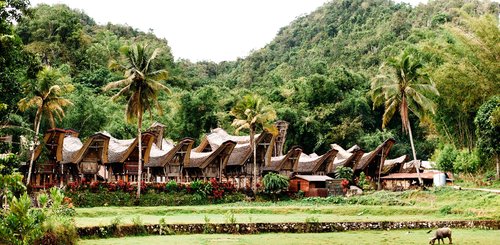 traditionelles Torajadorf Sulawesi