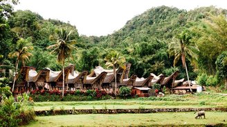 traditionelles Torajadorf Sulawesi