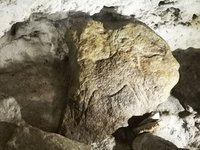 originale Ritzungen Bilderhöhlen Frankreich