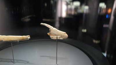 Steinbockkopf aus La Garma im Museum Santander