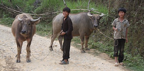 Kinder in Sapa Indochinareise in den Norden von Vietnam 