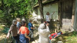 Font de Gaume - letzte öffentlich zugängliche polychrome Malereien