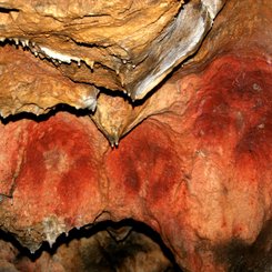 Höhle Gargas © Raymond-Springinsfeld