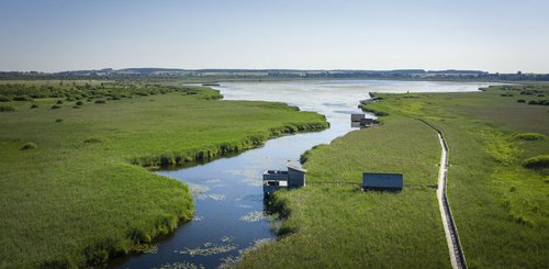 Bad Buchau Oberschwaben Federsee © TMBW Dietnmar Denger