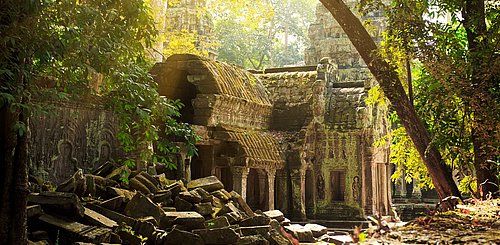 Ta Phrom Tempel im Dschungel von  Kambodscha