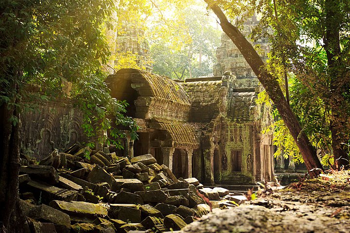 Ta Phrom Tempel im Dschungel von  Kambodscha