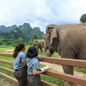 Elephant Hills Camp