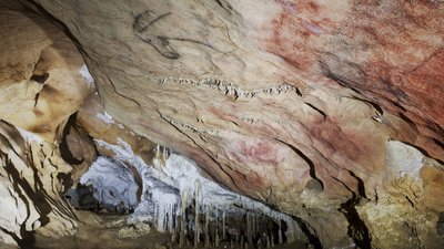 Felszeichnungen in der steinzeitlichen Höhle Tito Bustillo in Nordspanien © Turismo Asturias