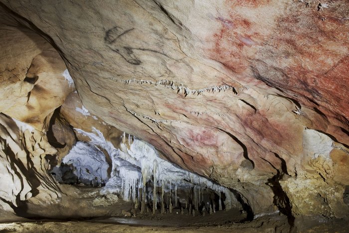 Felszeichnungen in der steinzeitlichen Höhle Tito Bustillo in Nordspanien © Turismo Asturias