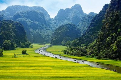 Reisfeld Ninh Binh in Vietnam