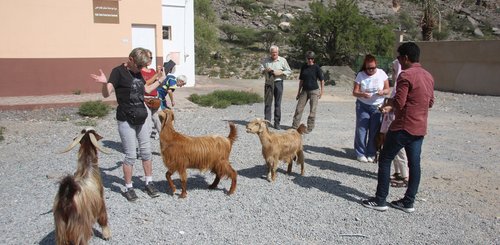 unsere Reisegruppe unterwegs im Oman