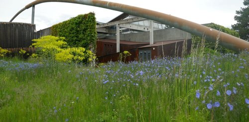 Traumhafte Landschaft - das Museum Hochdorf im Sommer 2021©Keltenmuseum Hochdorf/Enz