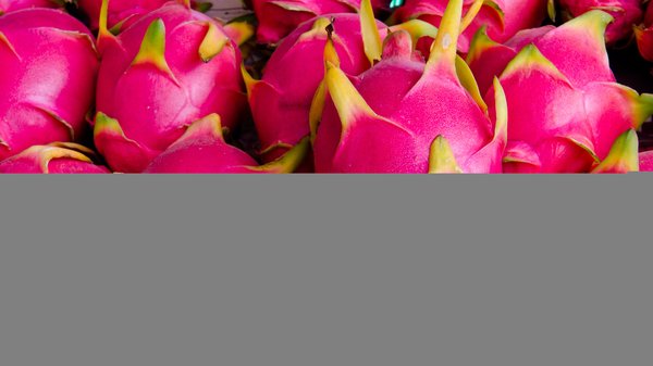 Drachenfrucht