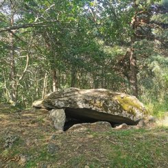 Ausflugstag während der Grabungswoche in die Region um Gergovia