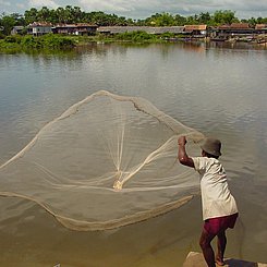 Fischer beim Auswerfen der Netze am Tonle Sap Kambodscha