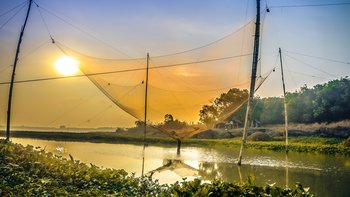 Das Dong Hoa Fishing Festival ist ein Highlight in Ha Tinh