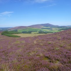 Speyside Way - wundervolle Wanderwege in traumhafter schottischer Landschaft