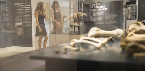 Museum Aurignac @Office_de_Tourisme_Destination_Comminges_Pyrenees