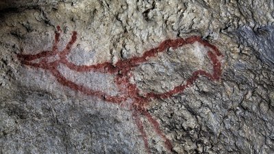 Covalanas Hirschkuh (SRECD)