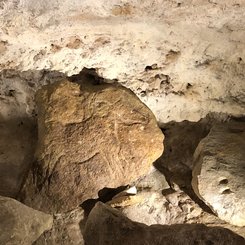 Castel-Merle Ritzung