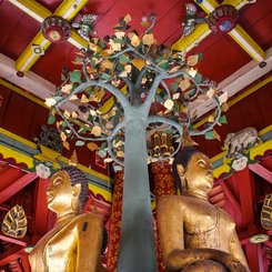 Buddha Statuen im Wat Pong Sanook Lampang