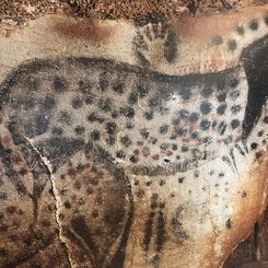 die berühmte Höhle Pech Merle - Tierdarstellungen, Frauensilhoutten, steinzeitliche Fußspuren und Handabdrücke - fantastisch!