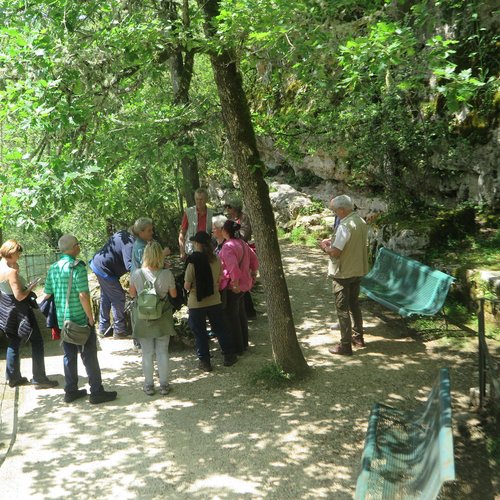 Les Eyzies Abri de Cap Blanc