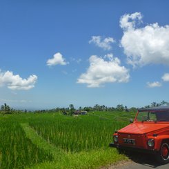 Bali VW Kuebelwagen VW 181 Oldtimertour