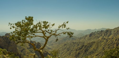 Al Hada Mountain bei Taif Saudi-Arabien
