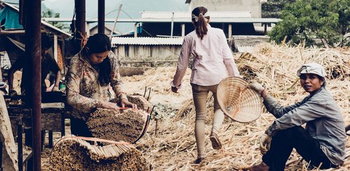 Heritage Line Laos Ausflug zur Esstäbchenproduktion