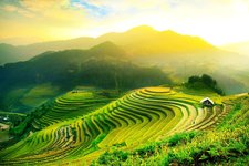 Reisterrassen Mu Cang Chai Yen Bai Vietnam