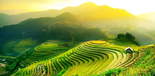 Reisterrassen Mu Cang Chai Yen Bai Vietnam