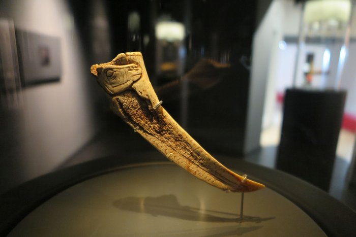 Objekt aus La Garma im Museum Santander