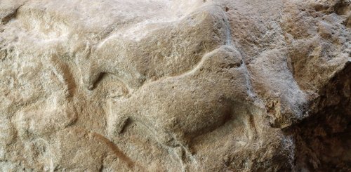 Auerochse Fourneau du Diable, Solutréenne, Musée national de Préhistoire Les Eyzies-de-Tayac