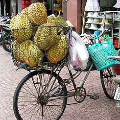 Früchte auf Fahrrad in Vietnam. Das Fahrrad ist immer noch universelles Transportmittel in Vietnam