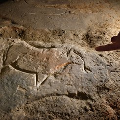Höhle Bedeilhac © Damien Butaye