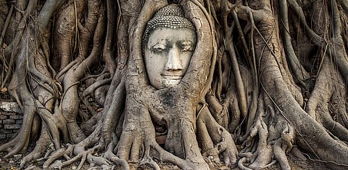 Wat Mahathat Ayutthaya Thailand