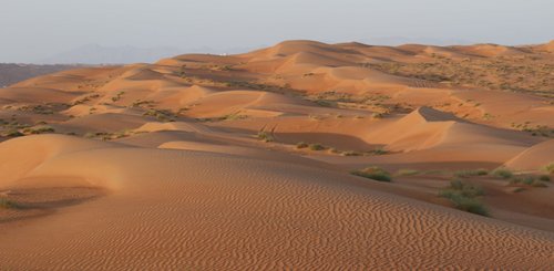 12500 km² Wüste Wahiba Sands Oman