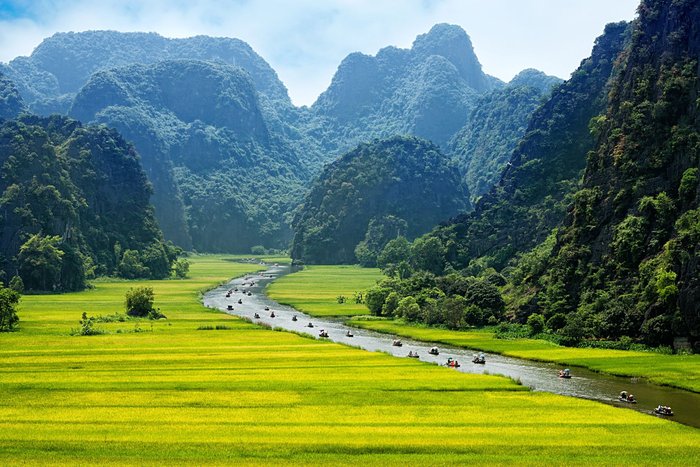Reisfeld Ninh-Binh. Die "trockene Halongbucht" wird immer beliebter bei Vietnam-Reisen