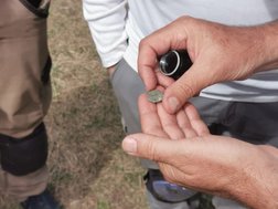 Muenzfund auf der Grabung