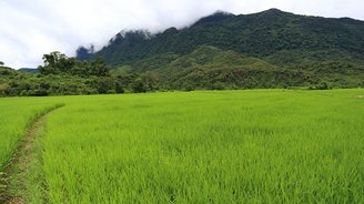 Die Natur ist ein großer Pluspunkt des Landes. Laos Reisen führen immer zu besonders schönen Plätzen dieser Erde! 