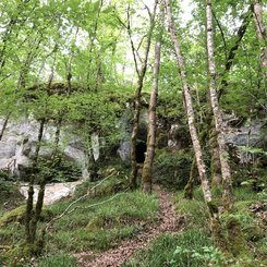 legendäre Fundorte, geschützte Überhänge und versteckte Höhlen - Abenteuer Archäologie! Mit Zugvogeltouristik unterwegs auf den Spuren der Altsteinzeit in Frankreich