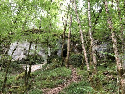 legendäre Fundorte, geschützte Überhänge und versteckte Höhlen - Abenteuer Archäologie! Mit Zugvogeltouristik unterwegs auf den Spuren der Altsteinzeit in Frankreich